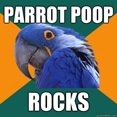 Parrot Poop Rocks  Paranoid Parrot