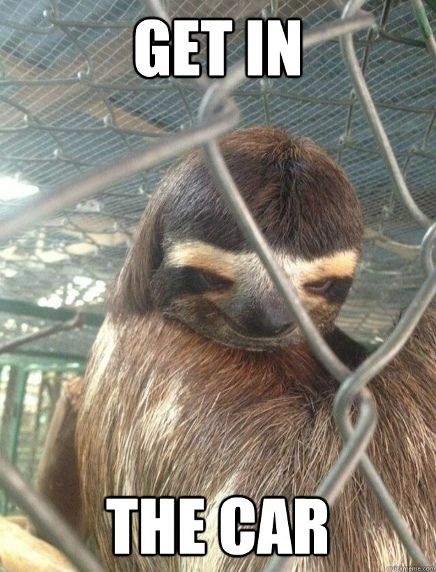 Get in the car  Creepy Sloth