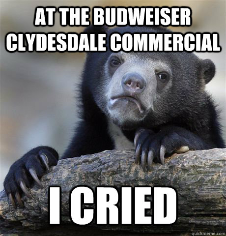 At the budweiser Clydesdale commercial i cried  Confession Bear