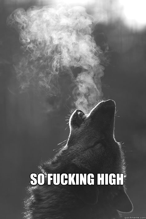 SO FUCKING HIGH - SO FUCKING HIGH  Stoner Wolf