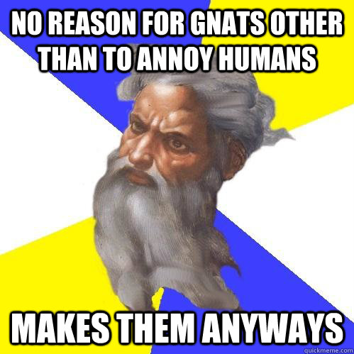 no reason for gnats other than to annoy humans makes them anyways  Advice God