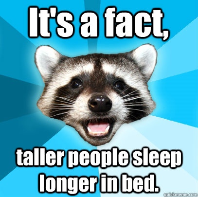 It's a fact, taller people sleep longer in bed.  Lame Pun Coon