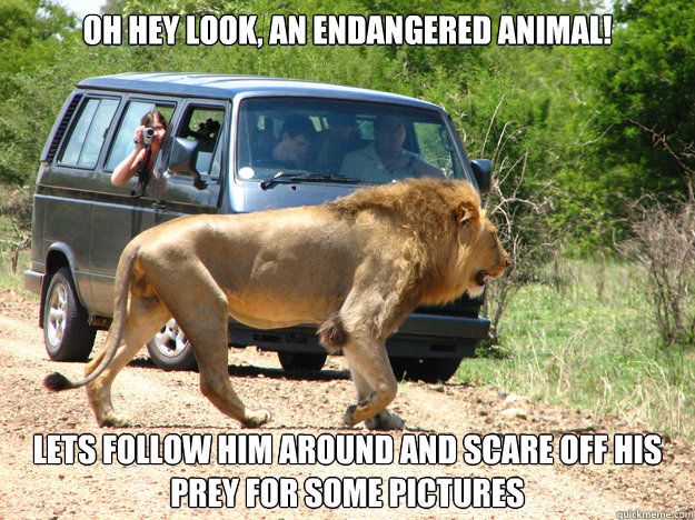 Oh hey look, an endangered animal! Lets follow him around and scare off his prey for some pictures - Oh hey look, an endangered animal! Lets follow him around and scare off his prey for some pictures  Scumbag nature photographer