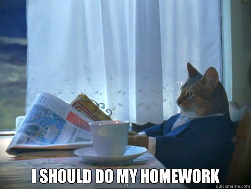  I should do my homework  The One Percent Cat