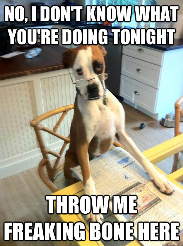 No, I don't know what you're doing tonight throw me freaking bone here  The Dog Father