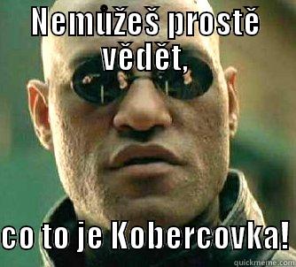 NEMŮŽEŠ PROSTĚ VĚDĚT,  CO TO JE KOBERCOVKA! Matrix Morpheus