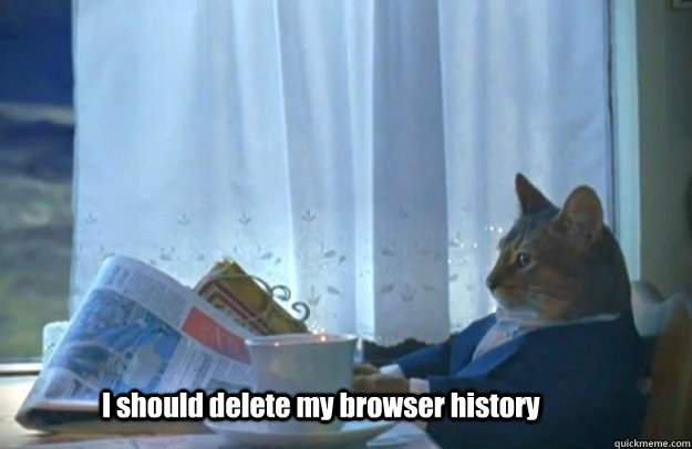 I should delete my browser history  Sophisticated Cat is broke