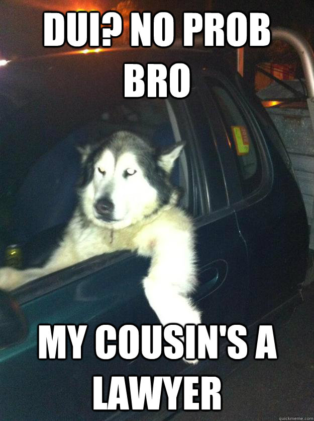 DUI? NO PROB BRO MY COUSIN'S A LAWYER  Mean Dog