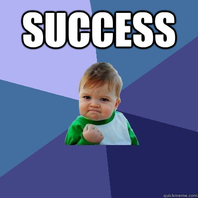 Success  Success Kid