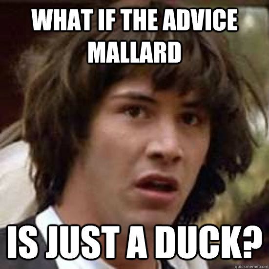 What if the advice mallard Is just a duck?  conspiracy keanu