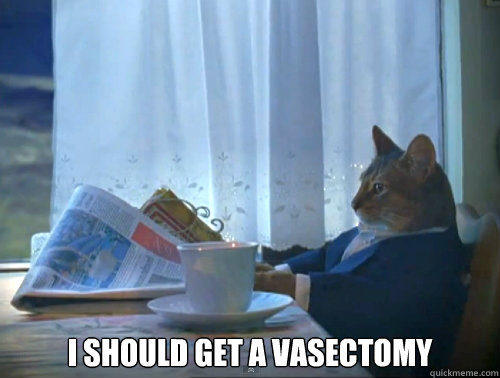  I should get a vasectomy  The One Percent Cat