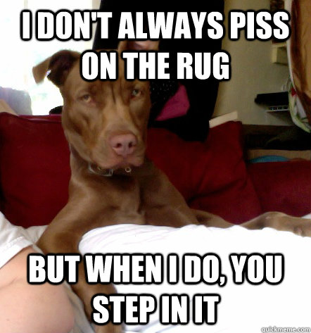 I don't always piss on the rug but when i do, you step in it  