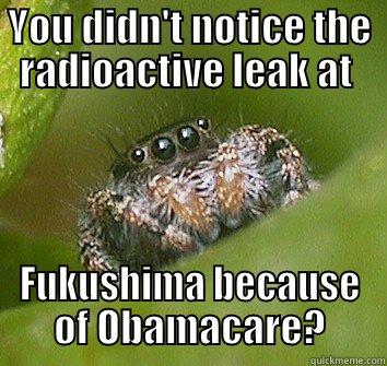 YOU DIDN'T NOTICE THE RADIOACTIVE LEAK AT  FUKUSHIMA BECAUSE OF OBAMACARE? Misunderstood Spider