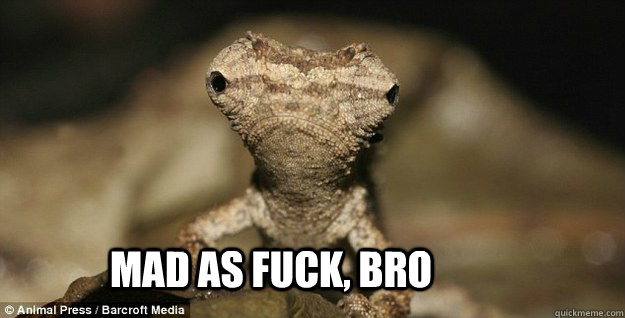 MAD AS FUCK, BRO - MAD AS FUCK, BRO  Misc