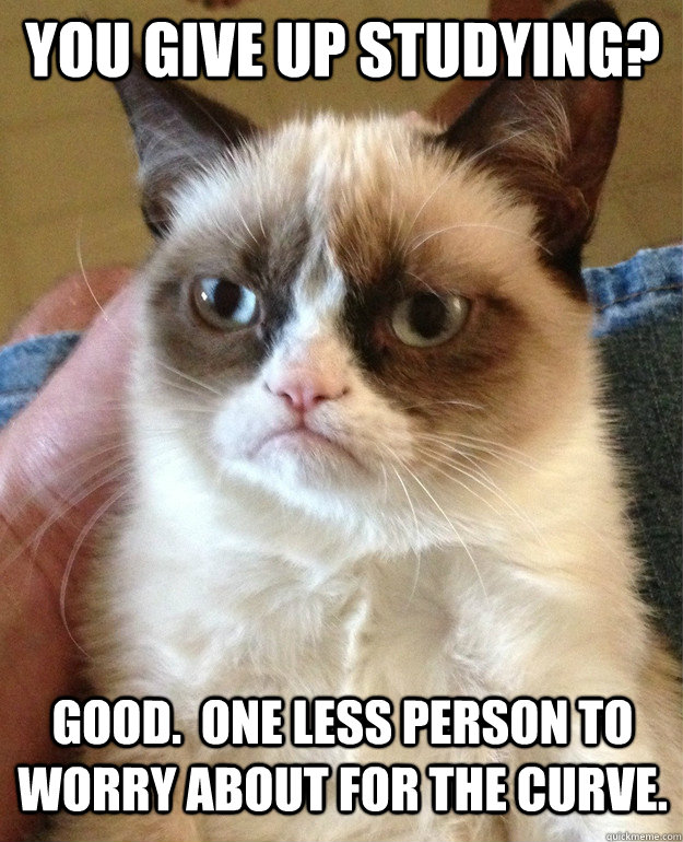 You give up studying? Good.  One less person to worry about for the curve.  Grumpy Cat
