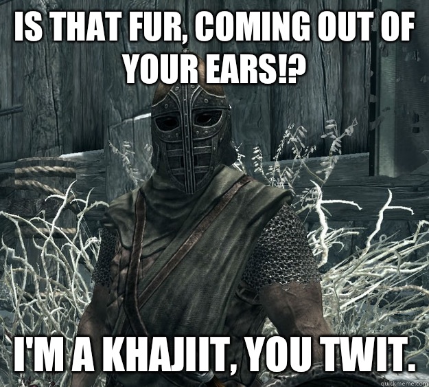 Is that fur, coming out of your ears!? I'm a Khajiit, you twit. - Is that fur, coming out of your ears!? I'm a Khajiit, you twit.  Skyrim Guard