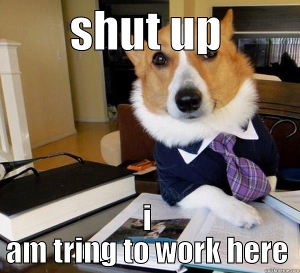 SHUT UP I AM TRING TO WORK HERE Lawyer Dog