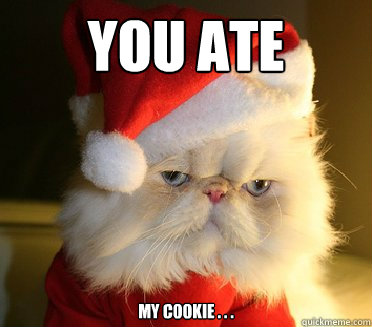 you ate my cookie . . . - you ate my cookie . . .  Cookie Cat