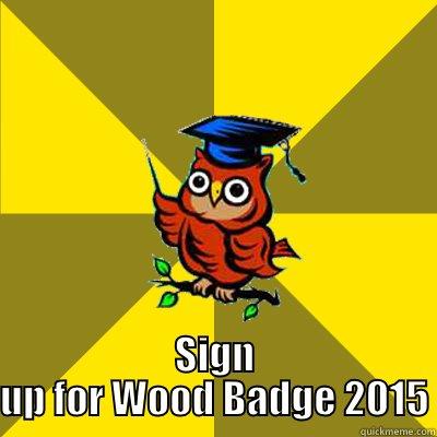 Wise Owls Say -  SIGN UP FOR WOOD BADGE 2015 Observational Owl