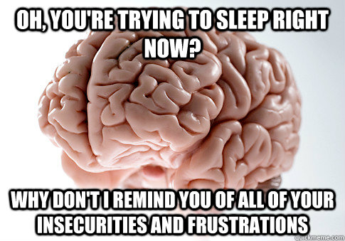 oh, you're trying to sleep right now? why don't I remind you of all of your insecurities and frustrations  Scumbag Brain