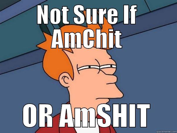 NOT SURE IF AMCHIT OR AMSHIT Futurama Fry