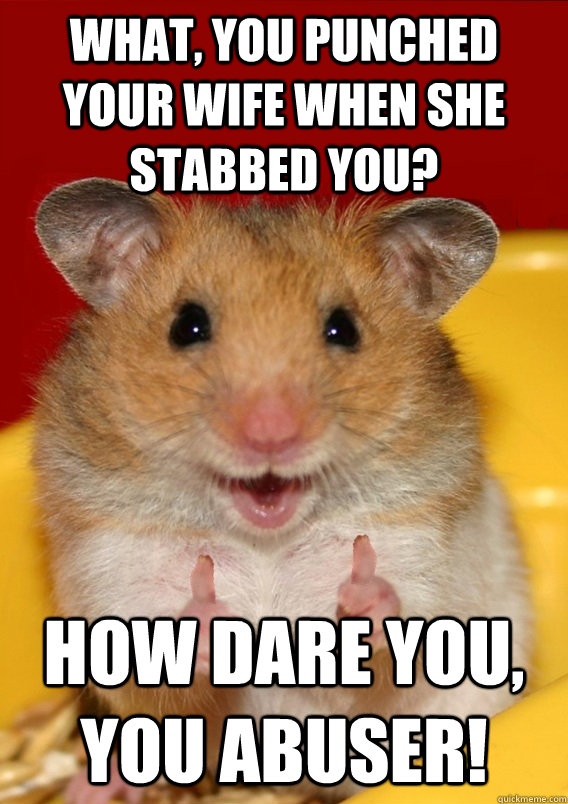 What, you punched your wife when she stabbed you? How dare you, you abuser!  Rationalization Hamster