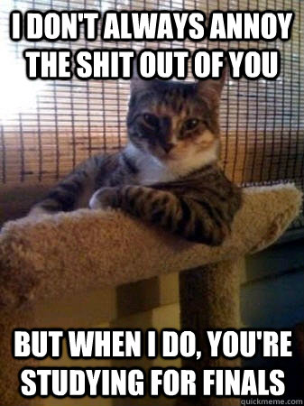 I don't always annoy the shit out of you but when I do, you're studying for finals  The Most Interesting Cat in the World