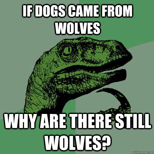 If dogs came from wolves why are there still wolves? - If dogs came from wolves why are there still wolves?  Philosoraptor