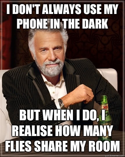 i don't always use my phone in the dark but when i do, I realise how many flies share my room  The Most Interesting Man In The World