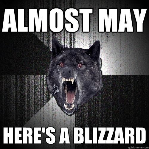 almost may here's a blizzard  Insanity Wolf