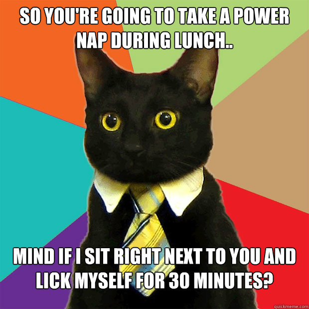 So you're going to take a power nap during lunch.. Mind if I sit right next to you and lick myself for 30 minutes?  Business Cat
