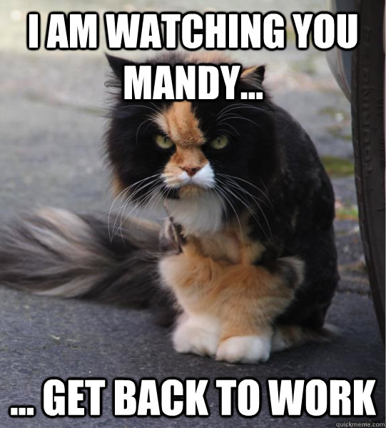 I am watching you Mandy... ... Get back to work - I am watching you Mandy... ... Get back to work  Evil Cat