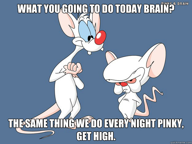 What you going to do today Brain? The same thing we do every night pinky, get high.  