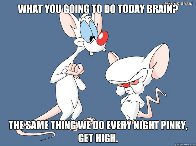 What you going to do today Brain? The same thing we do every night pinky, get high. - What you going to do today Brain? The same thing we do every night pinky, get high.  Misc