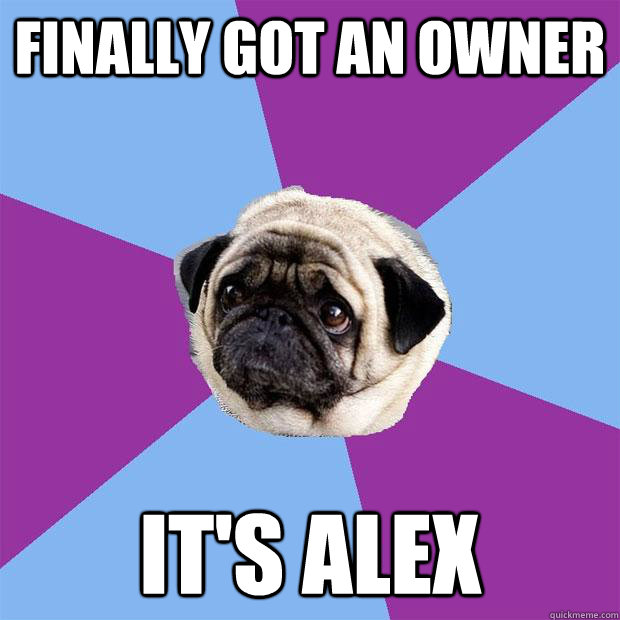Finally got an owner  It's alex   Lonely Pug