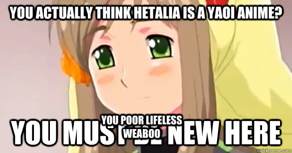 You actually think hetalia is a yaoi anime? You must be new here You poor lifeless weaboo - You actually think hetalia is a yaoi anime? You must be new here You poor lifeless weaboo  You Must Be new here hetalia