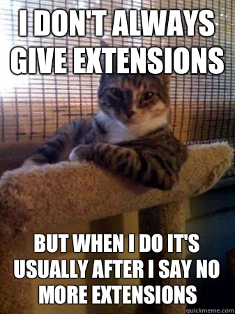 I don't always give extensions but when I do it's usually after I say no more extensions  The Most Interesting Cat in the World