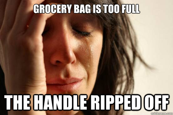 Grocery bag is too full The handle ripped off - Grocery bag is too full The handle ripped off  First World Problems