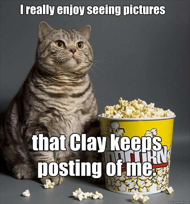 I really enjoy seeing pictures that Clay keeps posting of me.  Critic Cat