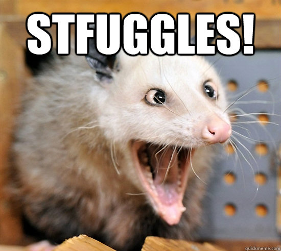 STFUGGLES!   