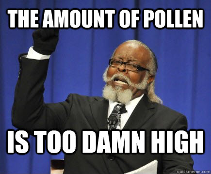 the amount of pollen is too damn high  Too Damn High