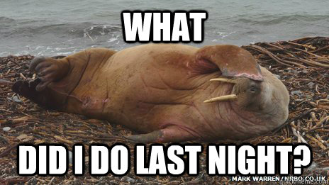 What did i do last night?  Hangover Walrus