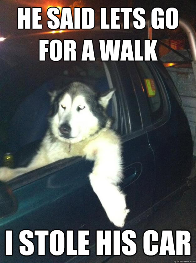 He said lets go for a walk I stole his car  Mean Dog