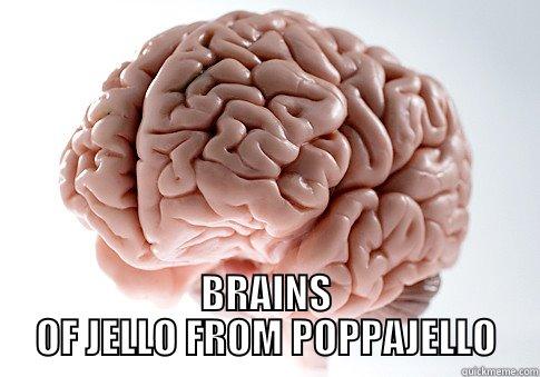 POPPAJELLO SHARES HIS DEEPEST THOUGHTS -  BRAINS OF JELLO FROM POPPAJELLO Scumbag Brain