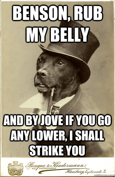 benson, rub my belly and by jove if you go any lower, i shall strike you  Old Money Dog