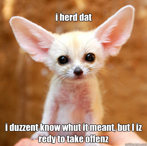 
i duzzent know whut it meant, but I iz redy to take offenz i herd dat  