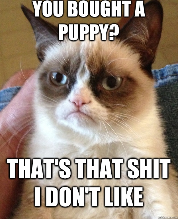 You bought a puppy? That's that shit I don't like  Grumpy Cat