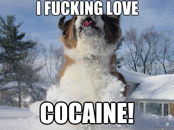 I fucking love cocaine! - I fucking love cocaine!  Misc