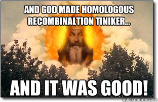 And God made homologous recombinaltion tiniker... And it was good! - And God made homologous recombinaltion tiniker... And it was good!  God in Clouds