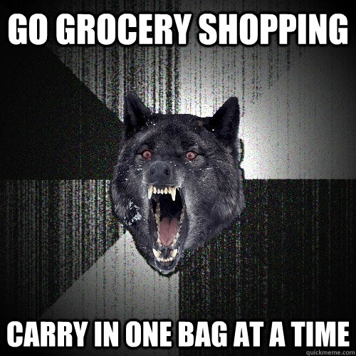 Go grocery shopping carry in one bag at a time - Go grocery shopping carry in one bag at a time  Insanity Wolf